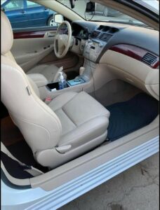 mobile car detailing